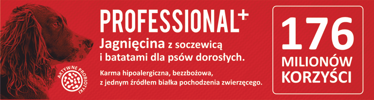 Professional+